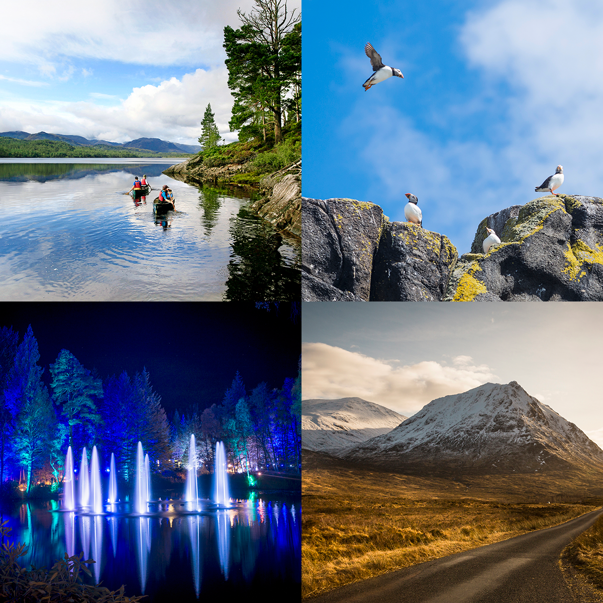 A collage of four images, showing two people canoeing, puffins, a light display on water and a road with snow covered mountains behind