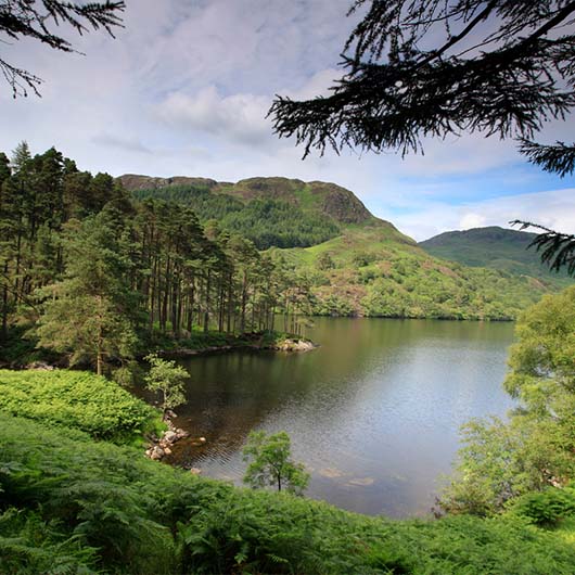 a loch surrounded by hills and forest