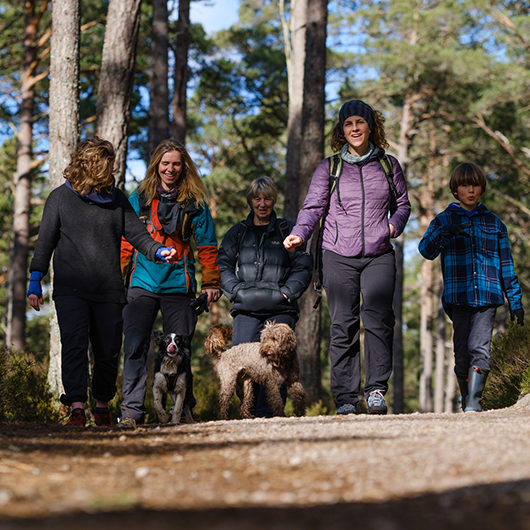 5 people walking a dog in forest