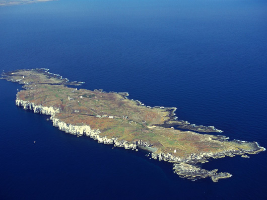 Isle of May National Nature Reserve