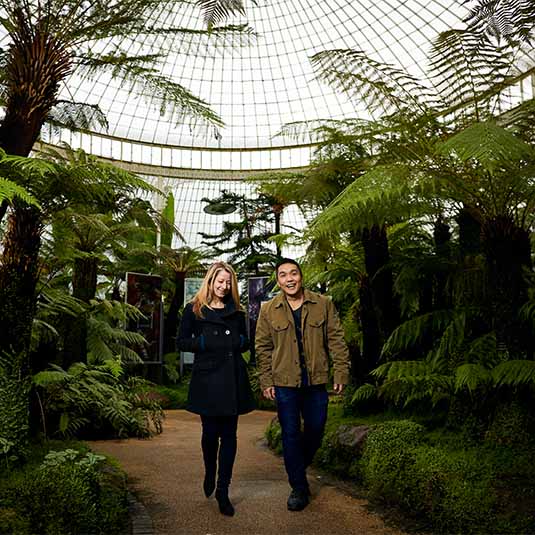 two people walking through greenery in a grand glass building