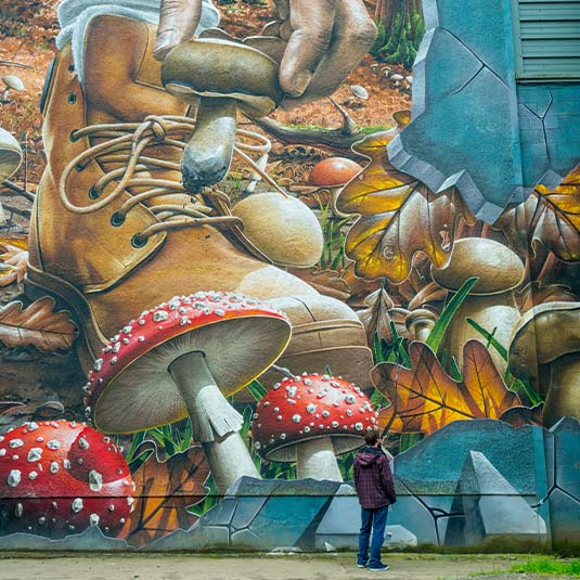 a painted mural of toadstools